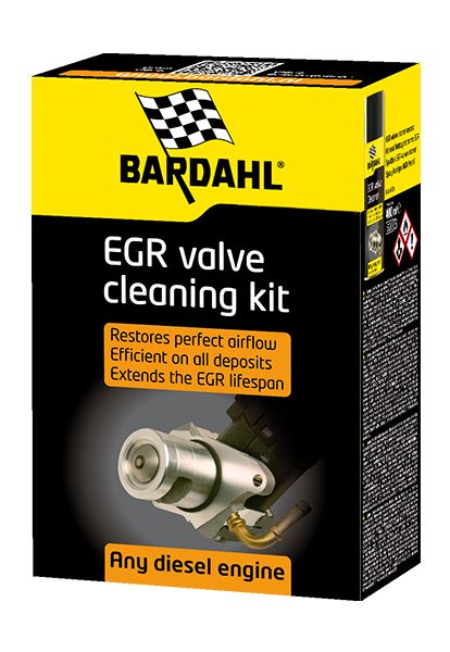EGR Valve Cleaner - Kit