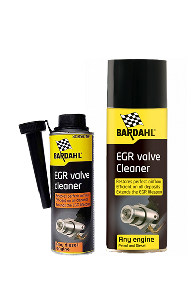 EGR VALVE CLEANER - KIT